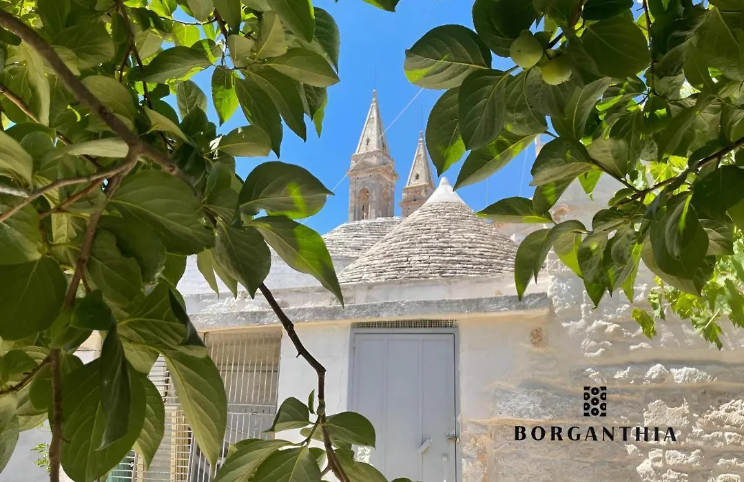 Borganthia - Il Chiostro Dei Medici-1